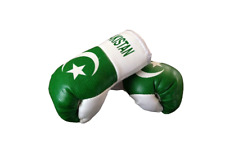 Pakistan mini boxing for sale  ASHFORD