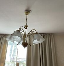 Schöne deckenleuchte erle gebraucht kaufen  Holzheim