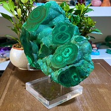 3.95lb natural peacock d'occasion  Expédié en Belgium