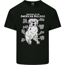 american bulldog for sale  COVENTRY