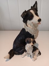 Border collie puppy for sale  ROCHFORD