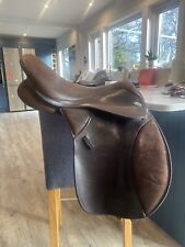Brown thorowgood pony for sale  HAYWARDS HEATH