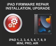 iPad Firmware Reinstalação, Serviço de Reparo, 2, 3, 4, 5, 6, 7, 8, 9, 10, Pro, Air comprar usado  Enviando para Brazil