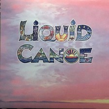 Liquid canoe self gebraucht kaufen  Versand nach Germany
