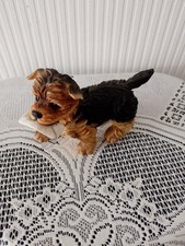 Leonardo yorkshire terrier for sale  OLDBURY