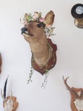 Tête chevreuil vintage d'occasion  Paris XIV