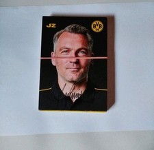 Borussia dortmund bvb gebraucht kaufen  Kaiserslautern