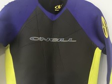 roupa de mergulho oneill comprar usado  Enviando para Brazil