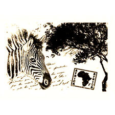 Tampon transparent zebre d'occasion  Peaugres