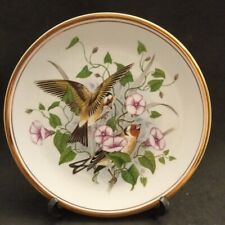 Goldfinch conolvulus birds for sale  CHESTER