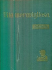 Vita meravigliosa. vol usato  Italia
