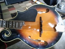 alvarez mandolins for sale alvarez mandolins for sale Whitakers