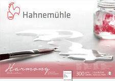 Hahnemühle aquarellblock harm gebraucht kaufen  Cottbus