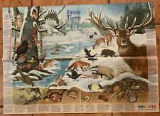 Medizini wissensposter tiere gebraucht kaufen  Husum
