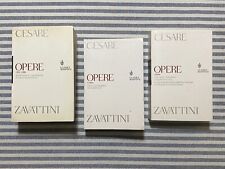 Cesare zavattini opere usato  Milano