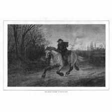 Heywood hardy belated for sale  GLASGOW