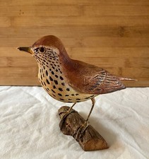 Oiseau grive musicienne d'occasion  Expédié en Belgium