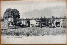 CPA années 1900: CHILI - Carreta de bueyes. Attelage à 8 Bœufs comprar usado  Enviando para Brazil