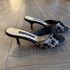 Beverly feldman kitten for sale  Naples