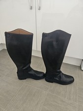 Regent horse riding for sale  SPENNYMOOR