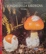Funghi della sardegna. usato  Italia
