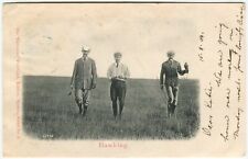 Hawking falconry hunting for sale  DUNDEE