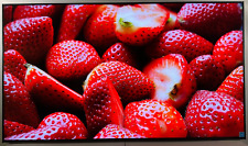Sony bravia pro for sale  Kansas City