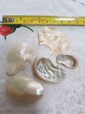 mother pearl buttons for sale mother pearl buttons for sale PLYMOUTH