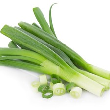 Vegetable plants leek for sale  BANBURY