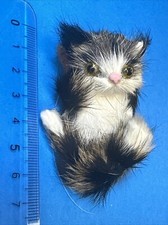 Cat hairy kitten d'occasion  Expédié en Belgium