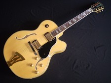 2009 washburn wes for sale  ENFIELD