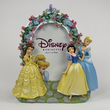 Disney princess photo for sale  Henderson