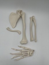 Scientific left disarticulated for sale  West Jordan