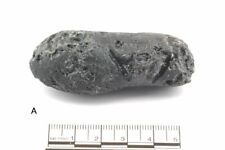 Tectite indochinite thaïlande d'occasion  Saint-Nazaire