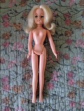 Pedigree sindy sad gebraucht kaufen  Bad Bergzabern