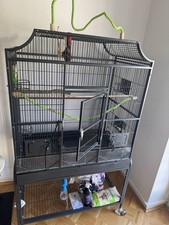 Vogelvoliere vogelkäfig papag gebraucht kaufen  Celle