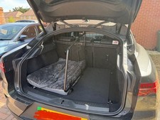 Jaguar pace dog for sale  COLCHESTER