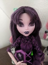 Monster high puppen gebraucht kaufen  Woldegk-Umland