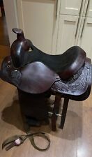 Circle western horse for sale  AYR