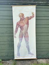 Vintage full body for sale  SCARBOROUGH