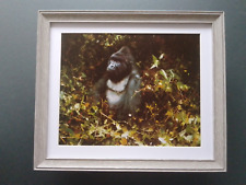 David shepherd print for sale  YORK