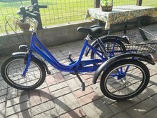 triciclo adulti bicicletta usato  Pisa