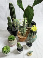 Cactus succulent faux for sale  San Tan Valley