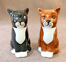 Salt pepper pots for sale  DISS