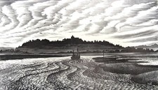 Rye harbour delightful for sale  BECKERMET