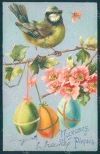 Auguri uccellino pasqua usato  Gambolo