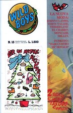 Giornalino fumetto wild usato  Villarbasse