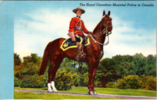 Vintage postcard royal for sale  Wichita Falls