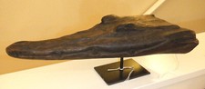Sepik river papua d'occasion  Expédié en Belgium
