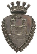 Distintivo placca livorno usato  Sarzana